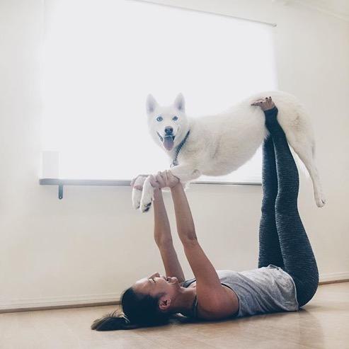 13. Family yoga Downward Dog indeed! Canines can tell when you re stressed, so it s beneficial for both of you to make sure you ve got your blood pressure down.