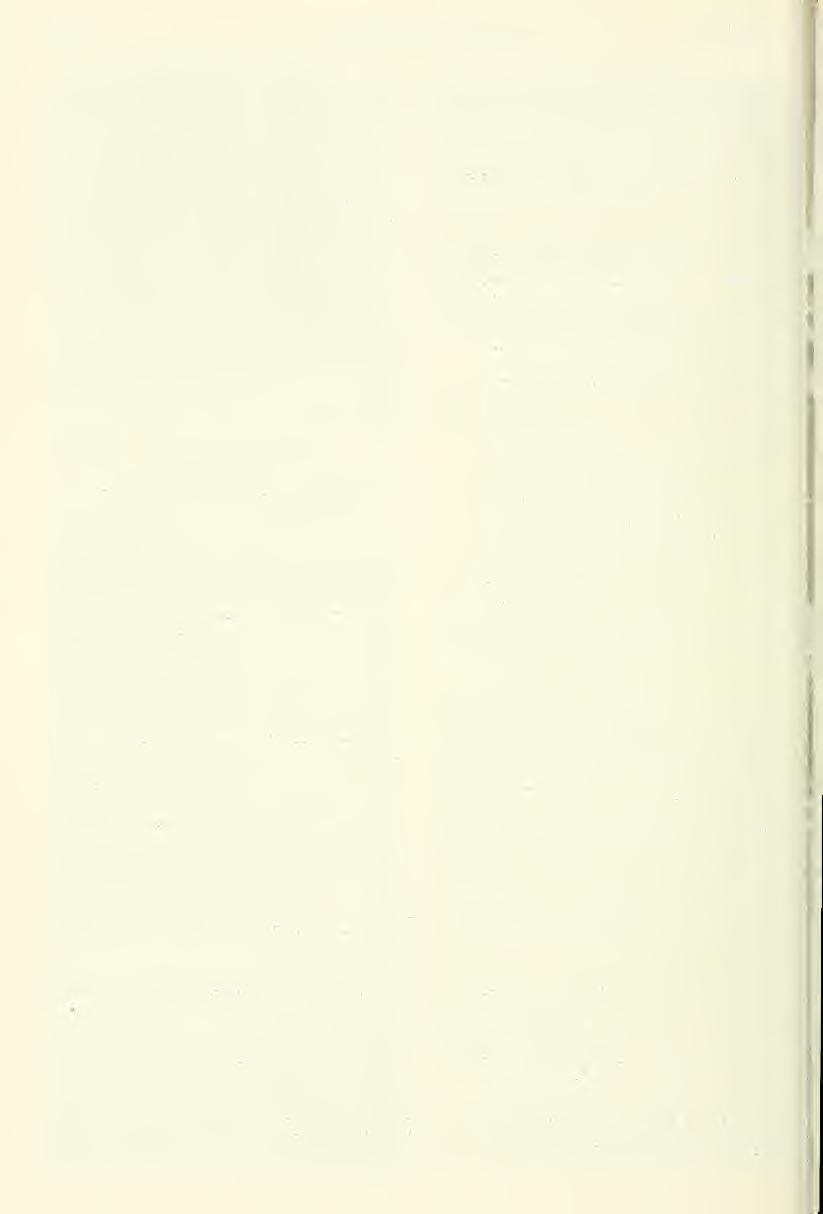640 Great Basin Naturalist Vol. 45, No. 4 stripe, a broken dark line. There are no discernible dark stripes on rows 7 or 8.