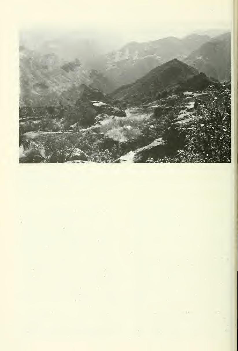 668 Great Basin Naturalist Vol. 45, No. 4 Fig. 9. A series of photographs from southwestern Chihuahua showing the rugged terrain in and around the Barranca del Cobre and the Rio Urique. A. Looking northwest across the Barranca del Cohre toward the Divisadero.