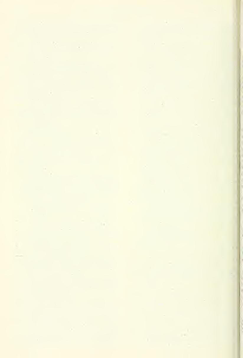 and and Copeia Univ. 676 Great Basin Naturalist Vol. 45, No. 4 Smith, H. M and J P Kennedy. 1951. Pituophis Smith, H M, nielanoleucus riithveni in eastern Texas, and its bearing on the status of P.