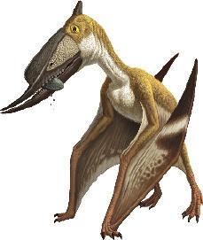 Take a look at these pterosaurs, and what paleontologists have learned about their diet by