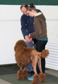 Ohio 4-H Dog Expo April 28 Clark County Fairgrounds Registration postmark Monday, April 16 $10.00 half day and $20.00 full day NO day-of-event registrations!