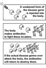 What is a vaccine?