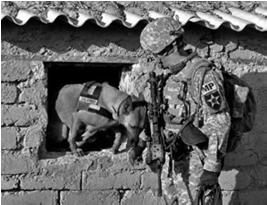 Reason As a Special Operations Combat Medic, you are responsible to provide emergency medical care to a government owned animal in the absence of veterinary assets.
