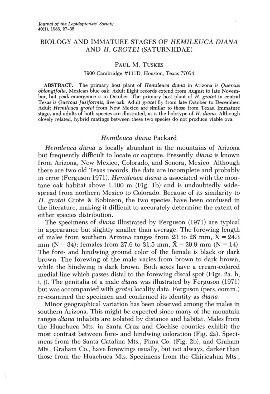 Journal of the Lepidopterists' Society 40(1), 1986, 27-35 BIOLOGY AND IMMATURE STAGES OF HEMILEUCA DIANA AND H. GROTEI (SA TURNIIDAE) PAUL M.
