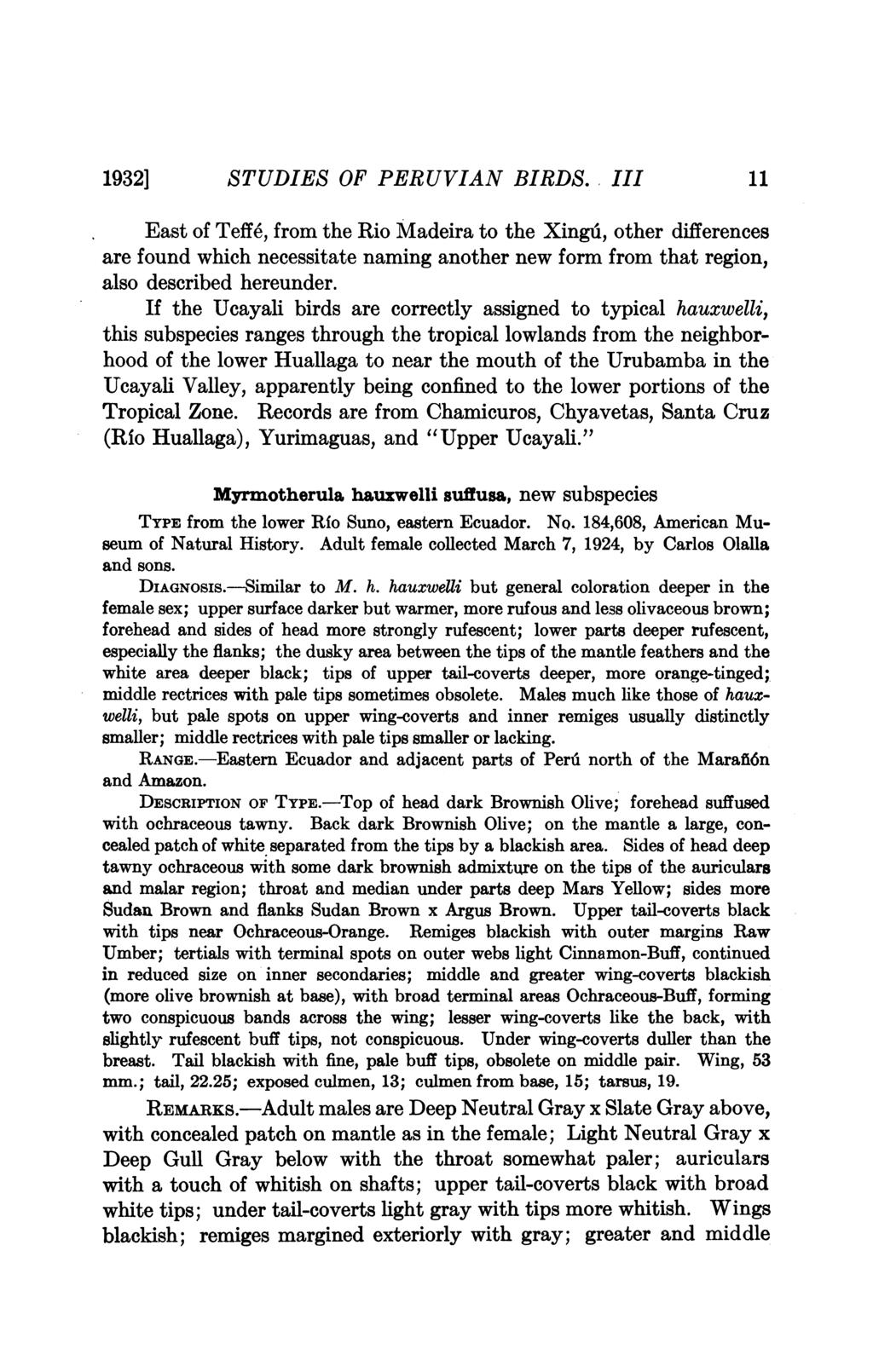 1932] STUDIES OF PERUVIAN BIRDS.