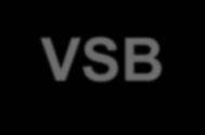 VETERINARY STATUTORY BODY VSB s have been in existence in many countries for many years, with wide variations in legal basis; autonomy; objectives;