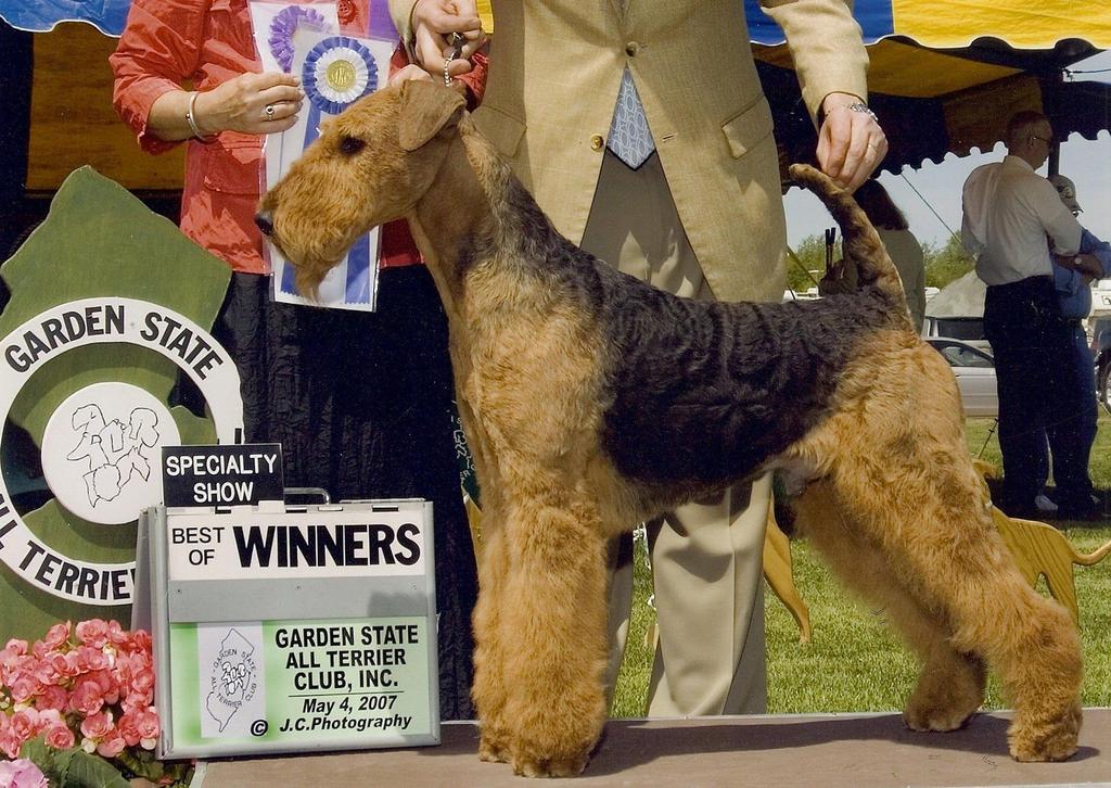 Ch. Stirling Skeandhu - Fraser. Bred by Susan Rodgers & Dr. Shirley Good, sire of Ch. Stirling Take a Walk on the Wildside What are the most important characteristics to select when breeding?