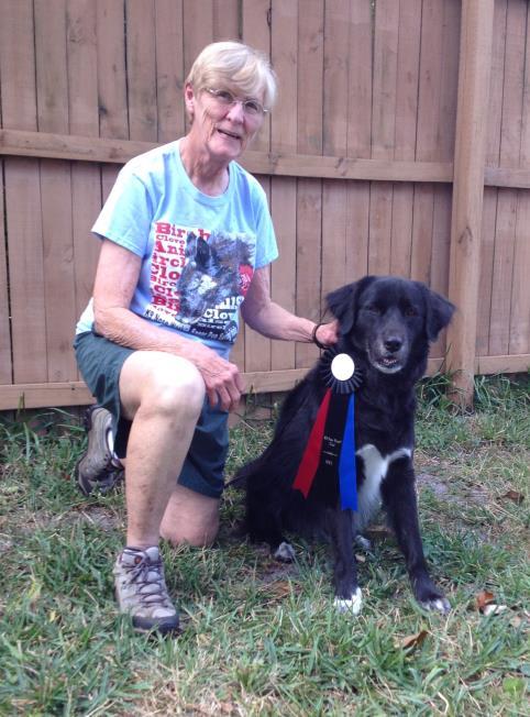 Karen Childers and Sailor (PWD) Trained Dog Happy Dog CPE Agility Williston, FL