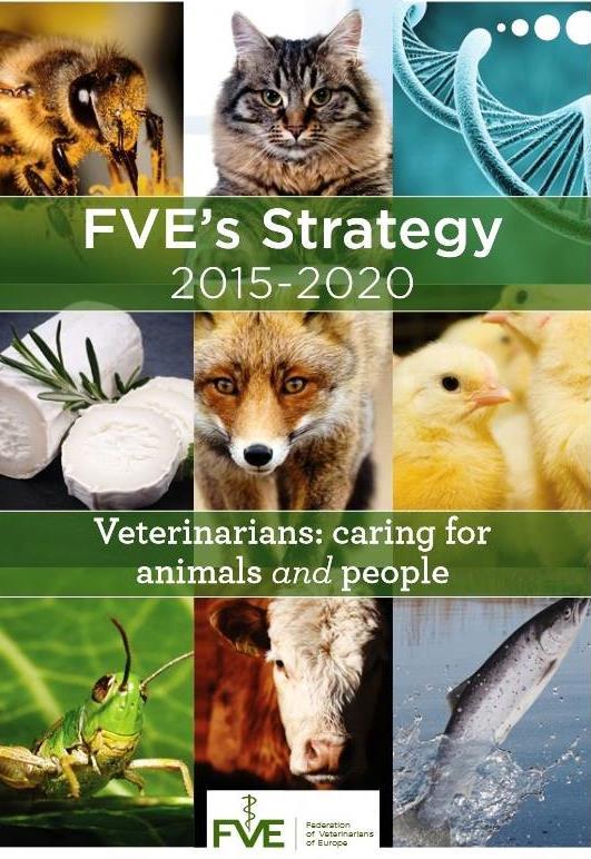 FVE s mission The European veterinary profession, embodied by FVE, strives to enhance animal health, animal welfare, public health and protect the environment by promoting the veterinary profession.