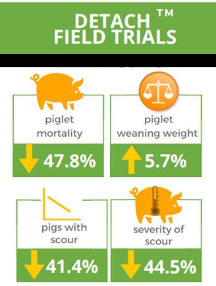 Field Trial Summary Thirty-seven trials conducted in Australia, Asia and EU on more than 11,000 piglets Detach is safe and effective Trials conducted in different age groups, in different