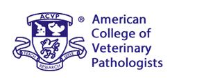 Student Chapter of the American College of Veterinary Pathologists The Purdue Student Chapter of the American College of Veterinary Pathologists (SCACVP), also known as Path Club, provides veterinary