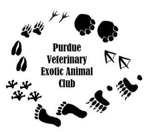 Veterinary Exotic Animal Club If you love ferrets, bats, parrots, or big cats you belong with us!