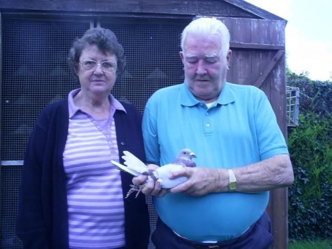 Bob has been racing pigeons since 1939 only stopping when he did his National Service.
