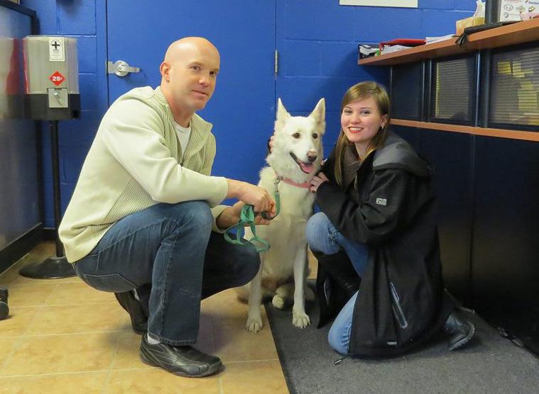 Nanook found her forever home with Dusty (on the right).