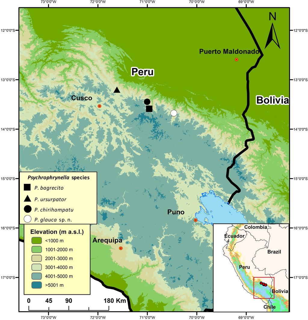 Figure 1 Map of southern Peru indicating the type localities of Peruvian species of Psychrophrynella. Psychrophrynella bagrecito (black square), P.