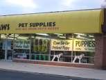 2011 Detroit Pet Store Disclosure Survey Version 7 January 10, 2012 Author: Pam Sordyl Between March and September of 2011, Puppy Mill Awareness of Southeast Michigan members posed as puppy shoppers