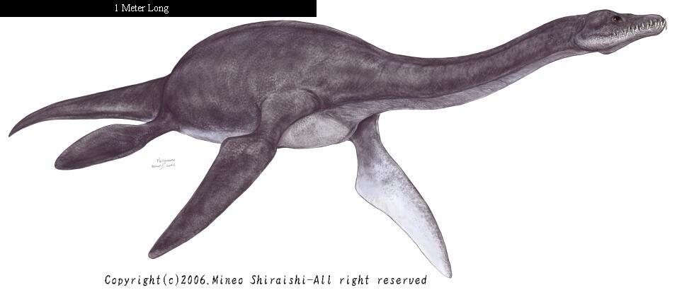 Plesiosauridae Plesiosaurus and Attenborosaurus