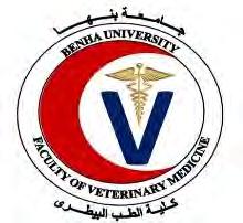 3 Department of Theriogenoology, Faculty of Veterinary Medicine, Benha University.