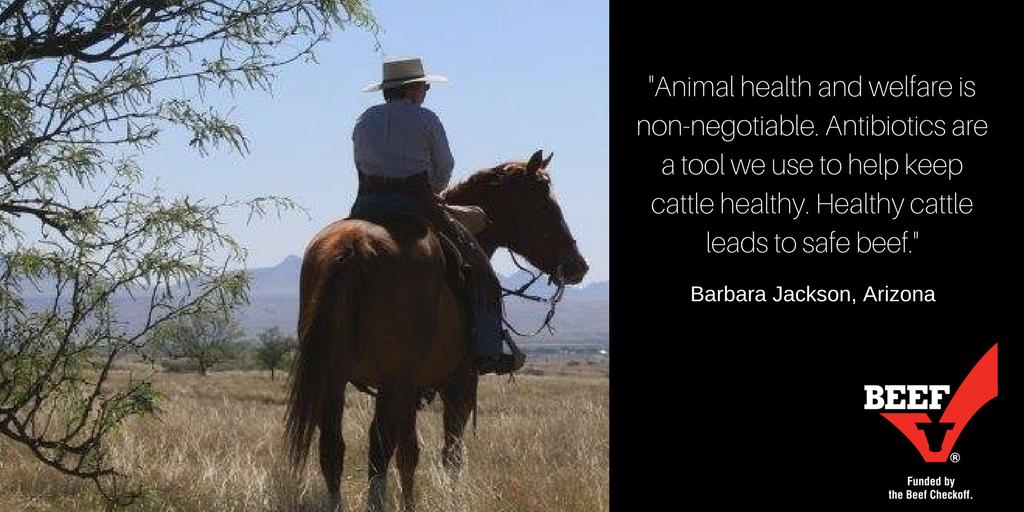 Barbara Jackson Twitter #Antibiotics are so important for human and animal health.