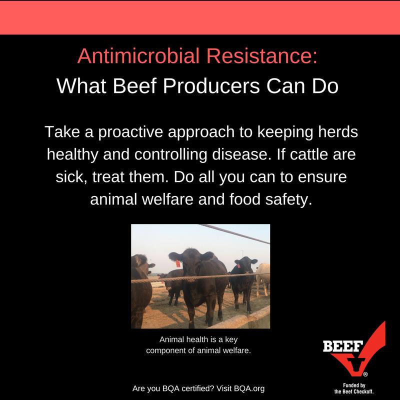 What can beef producers do to combat