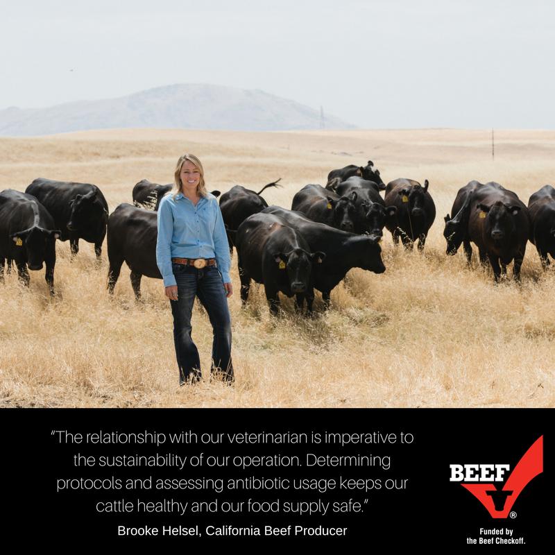 Brooke Helsel Facebook Connection. Brooke Helsel, (aka @MeetYourBeef) is a beef producer who welcomes conversations about antibiotics in food production.