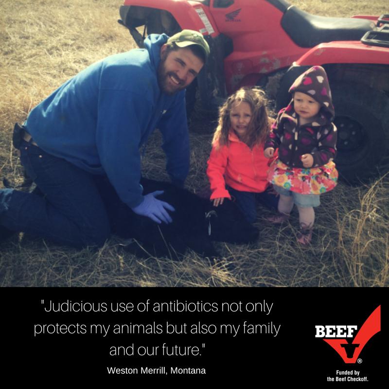 Weston Merrill Facebook Family. Weston Merrill, Montana beef producer never has FAMILY far from his mind, no matter if he s doctoring a sick calf or cutting hay.