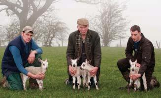 Flock Feature - Hundith - by Wayne Hutchinson Hundith goes from L to R: Michael, Jack and Adam The term living legend gets bandied about all too easily these days, but surely that can t be far from