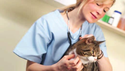 Veterinary Practice Use Going to the veterinary clinic and/or being hospitalised involves a dramatic and sudden change to a cat s environment and can be highly stressful.