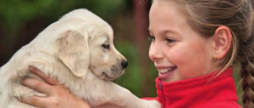 Adoption Period Adoption Period Settling into a new home is a stressful and disorientating process for a puppy. siblings and its usual source of comfort and reassurance, the dam.