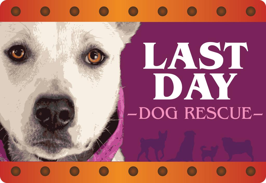 Last Day Dog Rescue TODAYS DATE Foster Name: Dog(s) Of Interest: Full Address: City Zip Home Phone Number: Cell Phone Number: Work Phone Number: Best Time to Call: E-Mail Address: Living Situation: