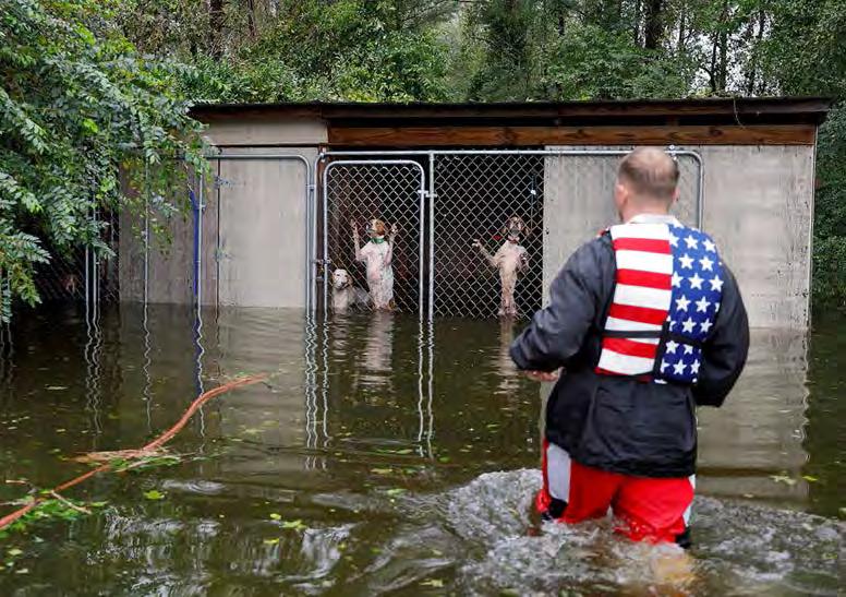 5 Panicked dogs that were left caged by an owner who fled rising floodwaters are rescued by the volunteer rescuer Ryan Nichols of Longview, Texas, in Leland,