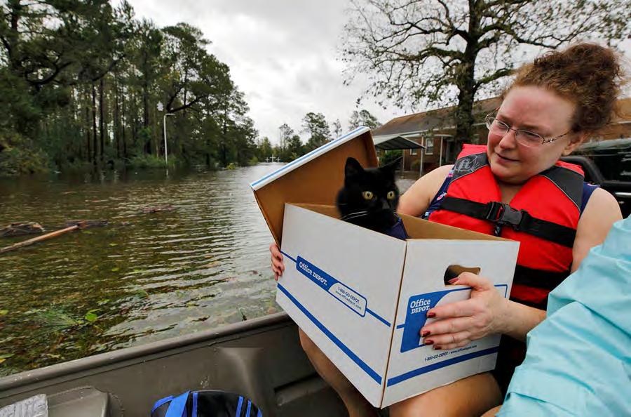 8 Carla Ramm checks on her cat Jackjack after they were loaded onto a boat during their rescue