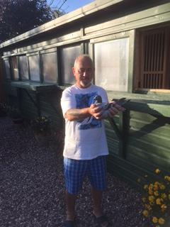 Trevor Cooke 2 nd SW Section John Halstead from Gillingham, North with a yearling blue hen Nyland Louise who was sent sitting a week old baby.