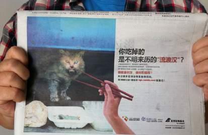 advertising posters with the theme, Be healthy. Say NO to cat and dog meat.