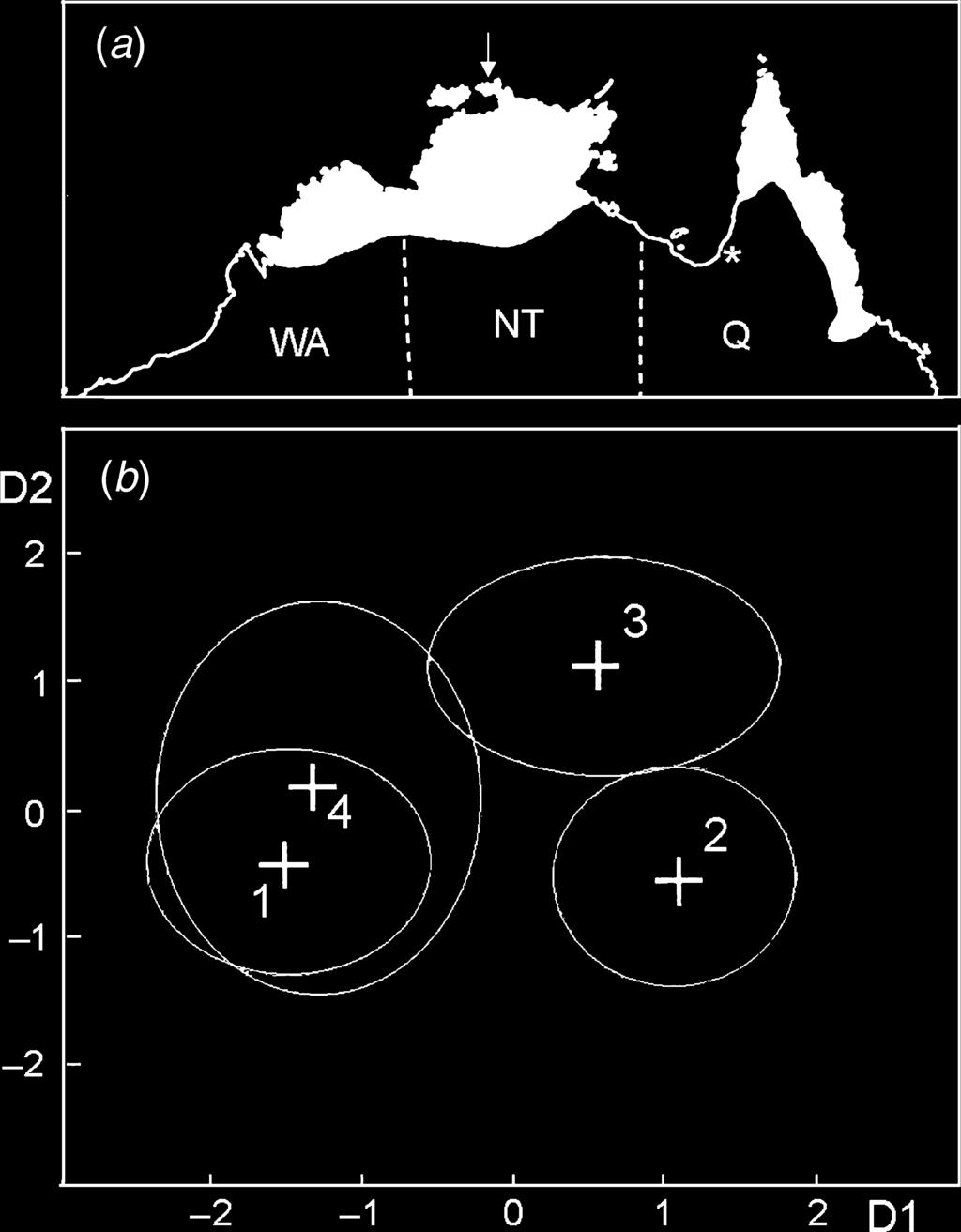 Systematics of Litoria bicolor (Anura : Hylidae) in the Papuan region Australian Journal of Zoology 263 Fig. 5. (a) Distribution of Litoria bicolor s. l.