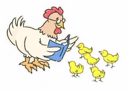 MORE CHICKEN FACTS A female chicken is called a HEN A male chicken is called a ROOSTER A group of chickens is called a FLOCK There are more chickens in the word than people Chickens give us meat and