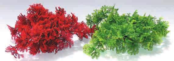Java Moss Design All Plants are with gravel and resin