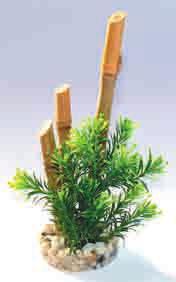 349415 BAMBOO FOREST PLANTS H : 20 cm