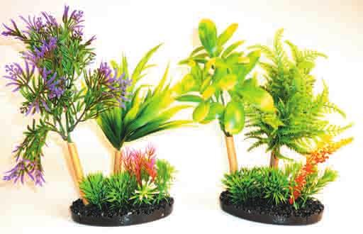 Glue No Risk of Li ing) - Colored Plants