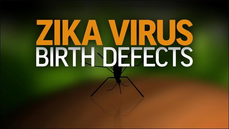 The ZIKA VIRUS, transmitted by the aggressive AEDES AEGYPTI mosquito, has now spread to at least 25 countries.