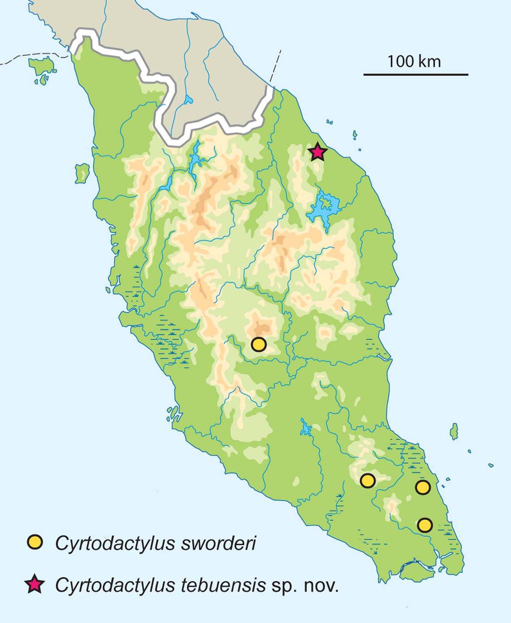 FIGURE 1. Location of Cyrtodactylus tebuensis sp. nov. at Gunung Tebu, Terengganu and distribution of C. sworderi (Grismer 2011; Grismer et al. 2007).