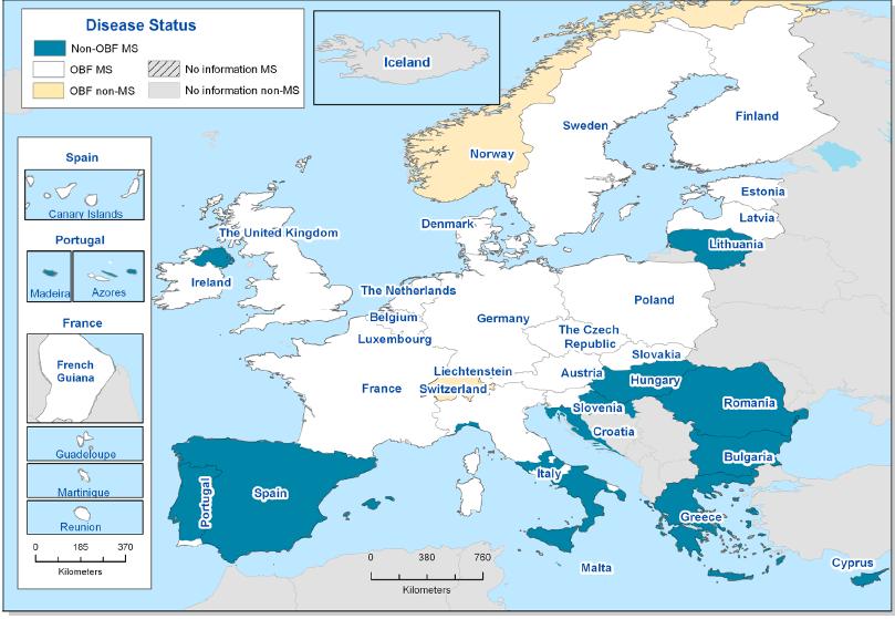 Bovine brucellosis in EU (status) - 2013 UK