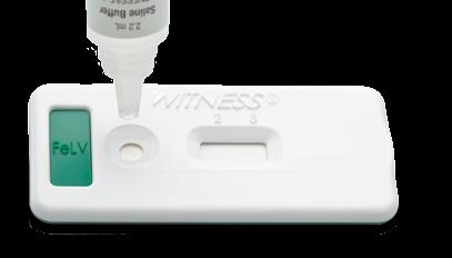Feline Leukemia Virus Antigen Test Kit WITNESS FeLV is a convenient, easy-to-use, in-clinic test that detects the presence of the feline leukemia virus antigen that is found in high levels in