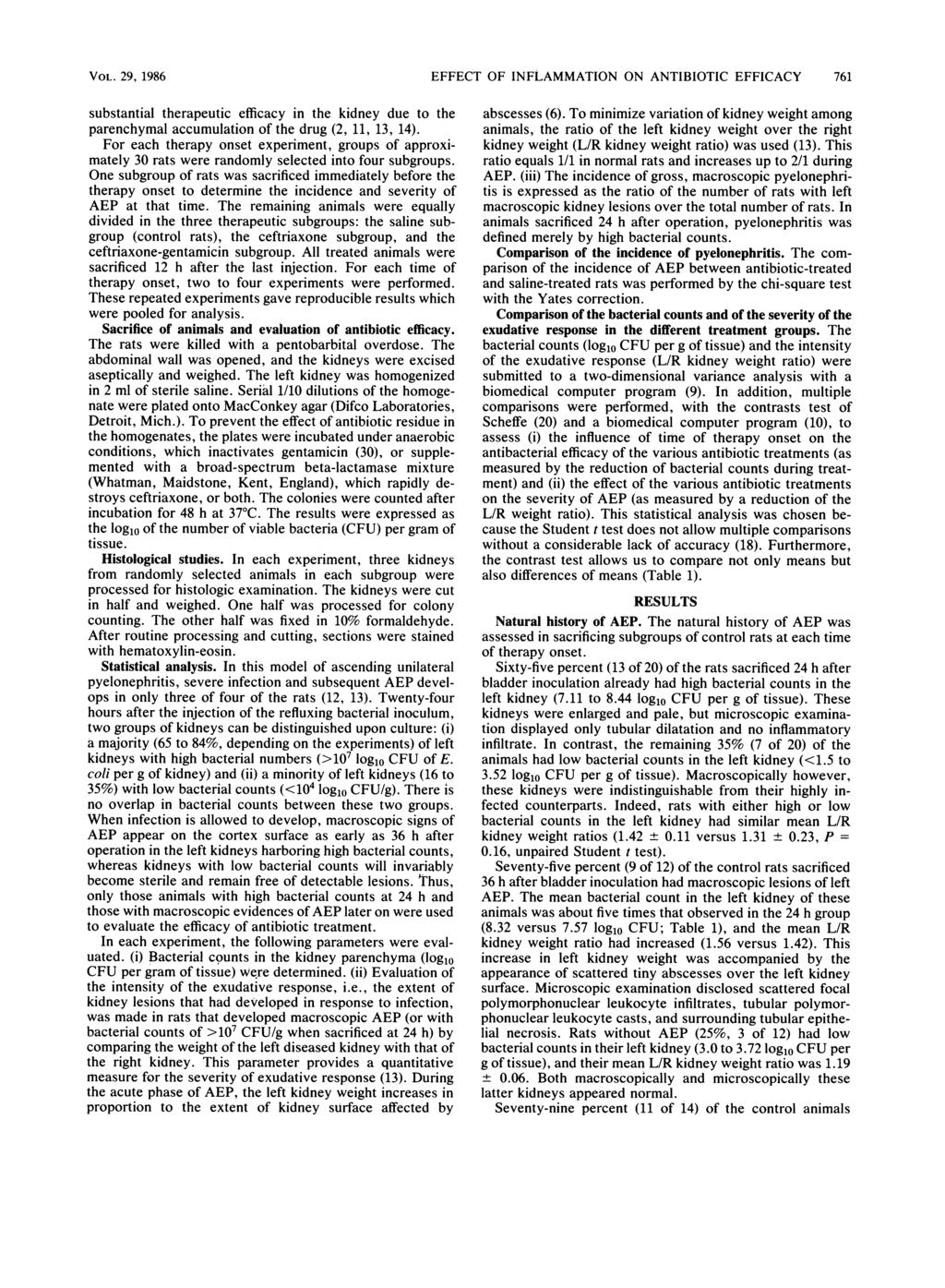 VOL. 29, 1986 EFFECT OF INFLAMMATION ON ANTIBIOTIC EFFICACY 761 substantial therapeutic efficacy in the kidney due to the parenchymal accumulation of the drug (2, 11, 13, 14).