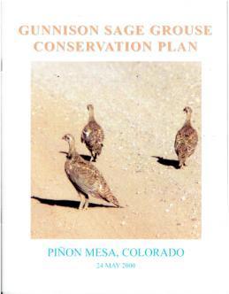 Early Efforts 1995 - Woods and Braun complete first study of GuSG on Piñon Mesa Findings: 5 active leks Population estimated at approximately 100 birds