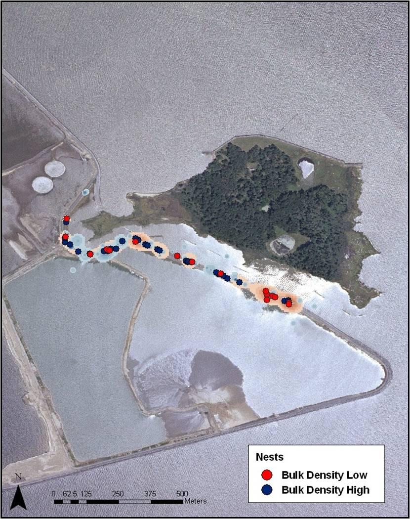 Figure 13. 2007 Fall and spring bulk density with a hot spot of emergence timing underneath from years 2004-2007. Fall emerging nests are light red and spring emerging nests are light blue.
