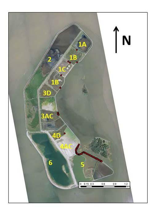 Terrapin Monitoring - 9 Figure 3 Terrapin nesting locations on Poplar Island during 2012 Survivorship of nests (the proportion of nests producing hatchlings) decreased from 80.2% in 2011 to 50.