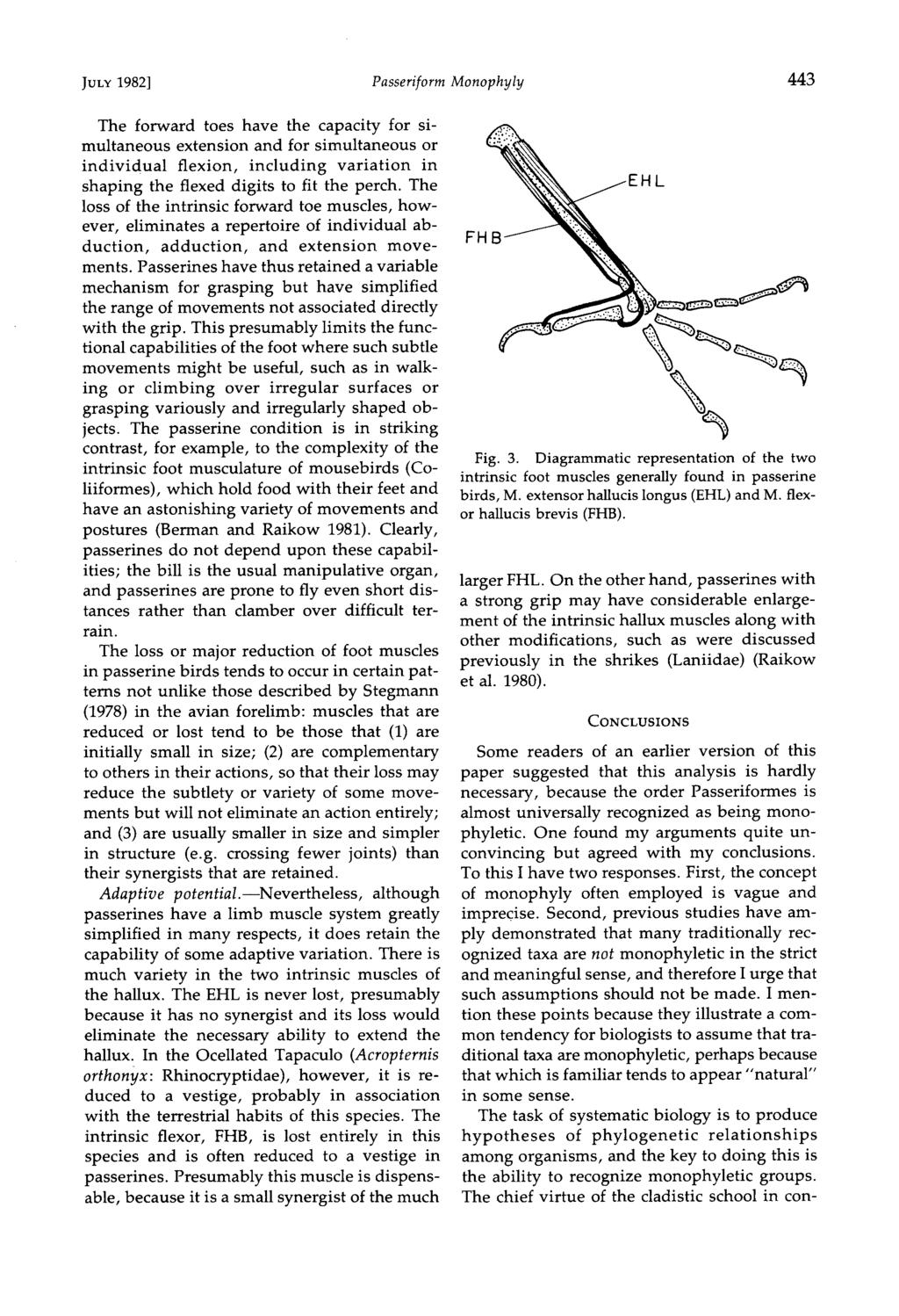 JvL¾ 1982] Passeriform Monophyly 443 The forward toes have the capacity for simultaneous extension and for simultaneous or individual flexion, including variation in shaping the flexed digits to fit