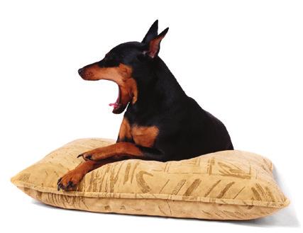 Sleeping dogs don t lie Monitoring your dog s sleeping respiratory rate can help you spot signs of heart failure right away.